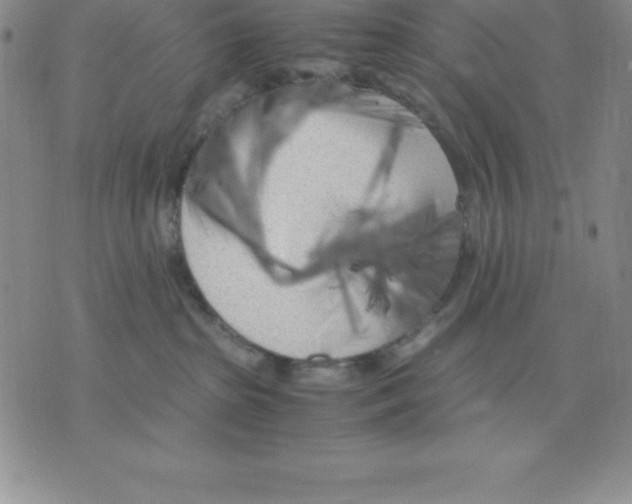 X0000075840285200610151553