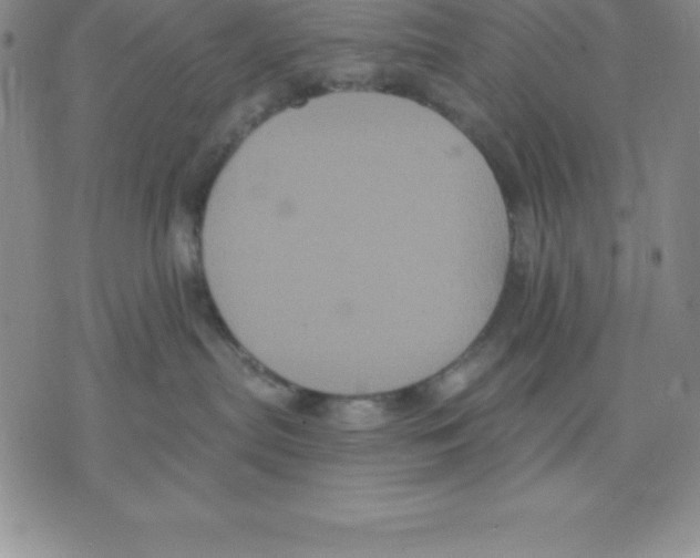 X0000075840287200610151553