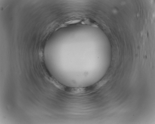 X0000075840288200610151553