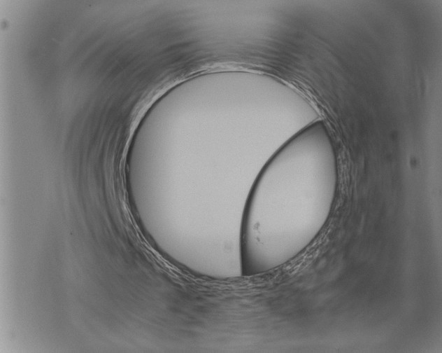 X0000075840289200610151552