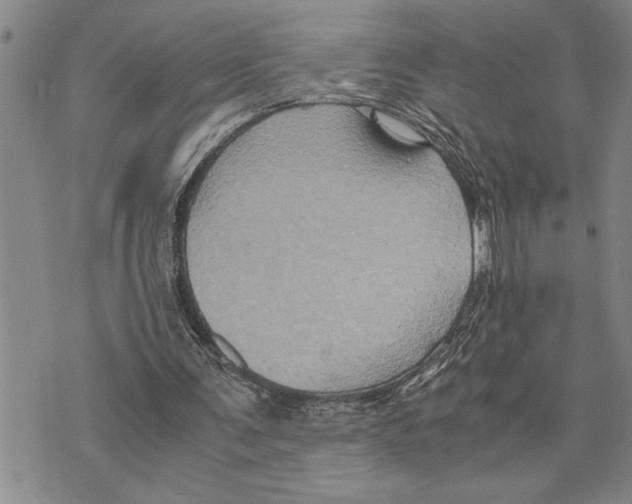 X0000075840291200610151552