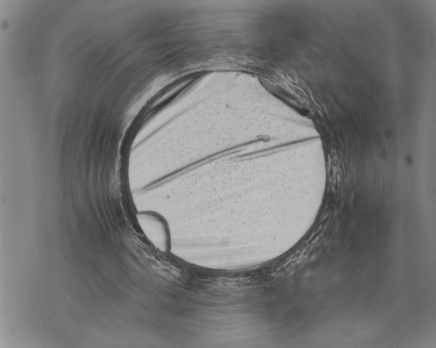 X0000075840292200610151552