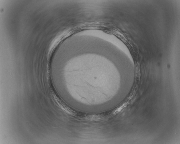 X0000075840293200610151552