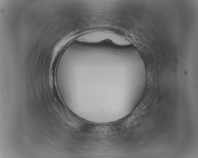 X0000075840294200610151552