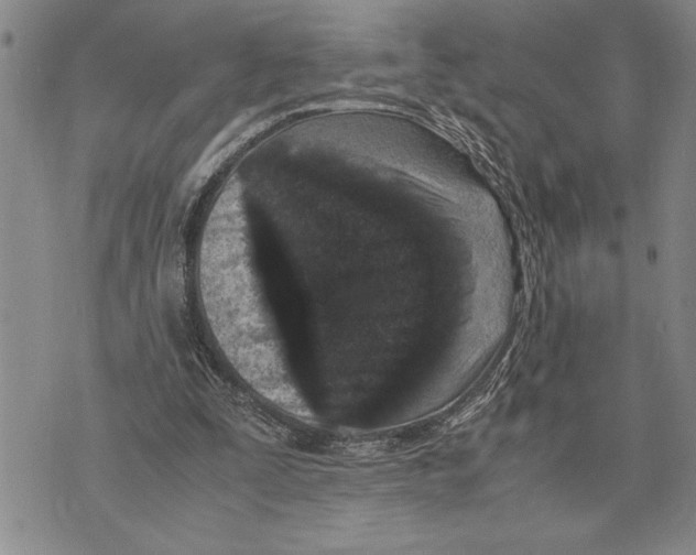 X0000075840295200610151552