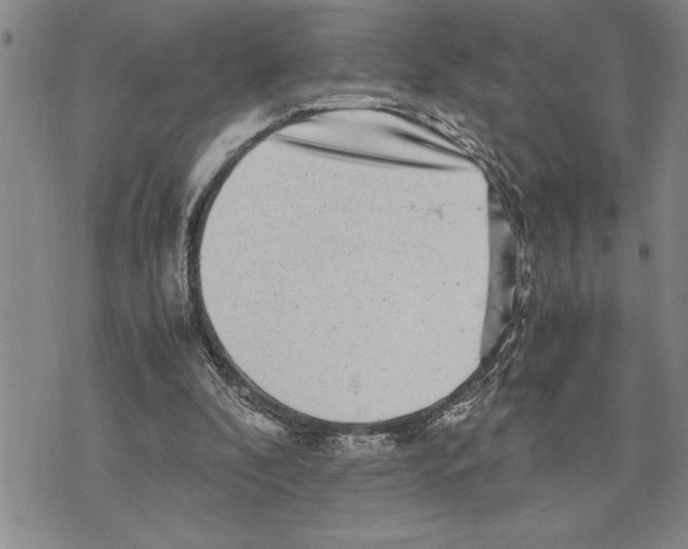 X0000075840296200610151552