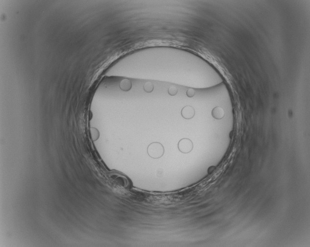 X0000075840297200610151552