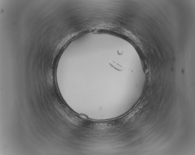 X0000075840298200610151552