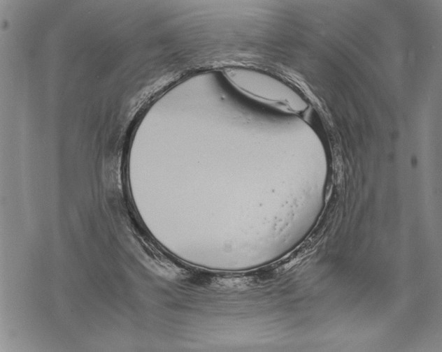 X0000075840299200610151552