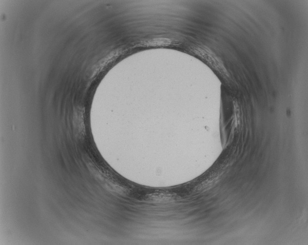 X0000075840300200610151552