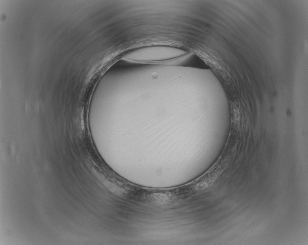 X0000075840302200610151552