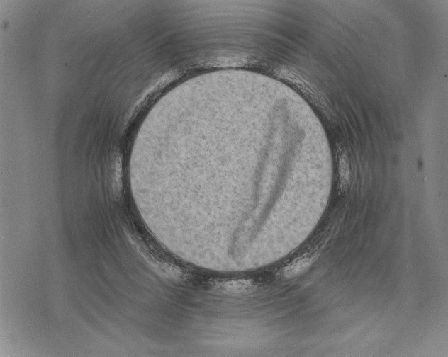 X0000075840304200610151552