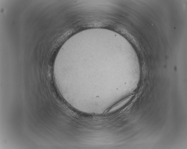 X0000075840305200610151552