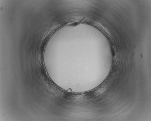 X0000075840306200610151552