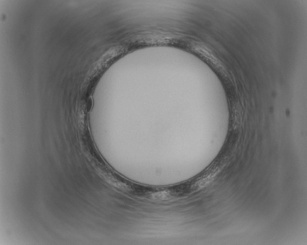 X0000075840309200610151551