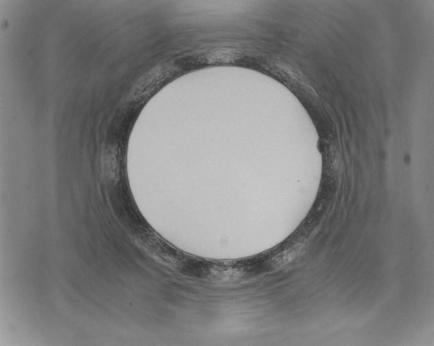 X0000075840311200610151551