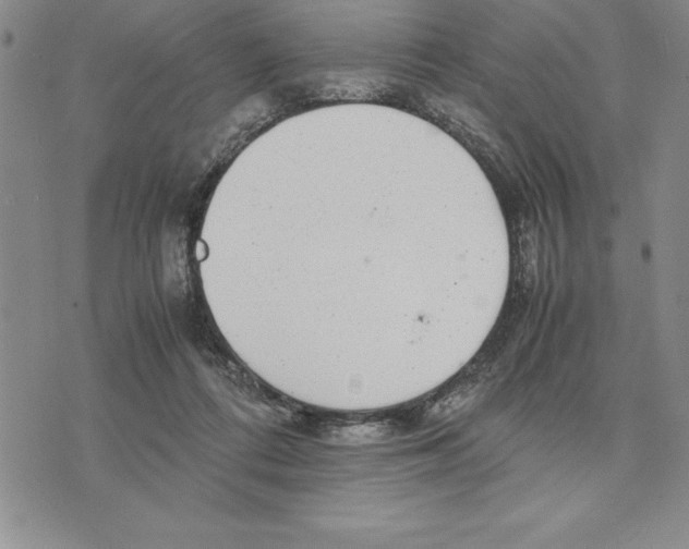 X0000075840312200610151551