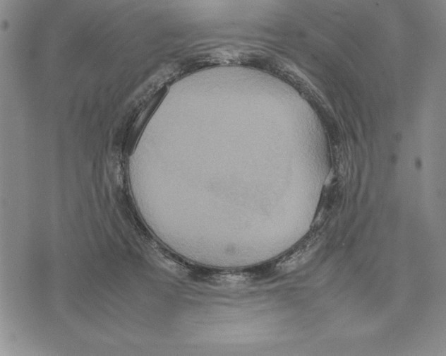 X0000075840313200610151551