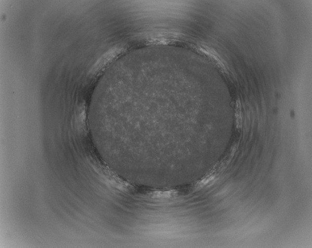 X0000075840314200610151551