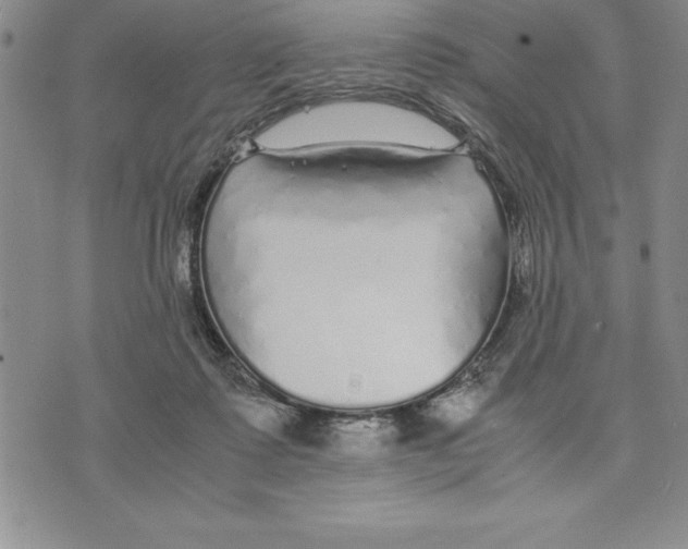 X0000075840315200610151551