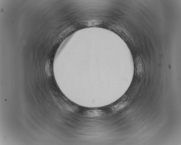 X0000075840316200610151551