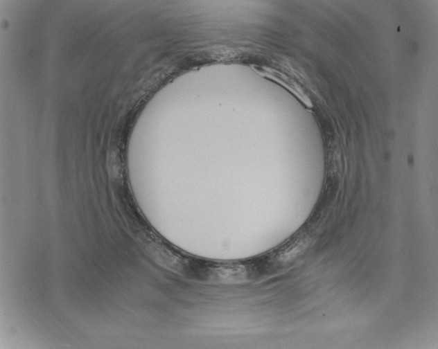 X0000075840317200610151551