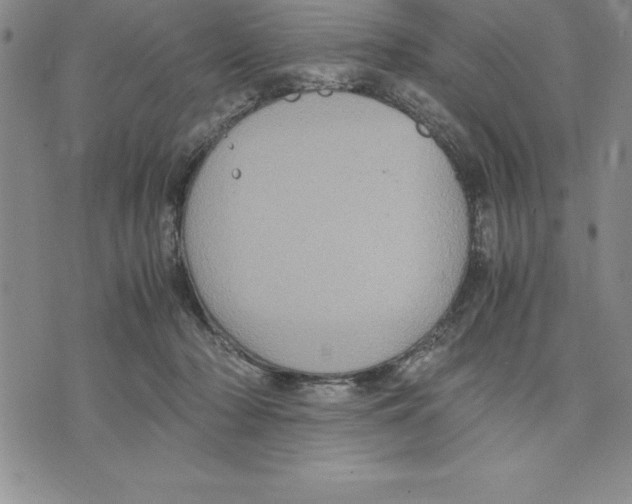 X0000075840318200610151551