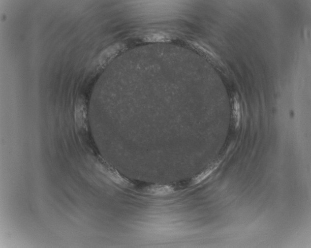 X0000075840322200610151551