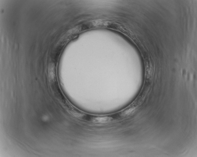 X0000075840323200610151551