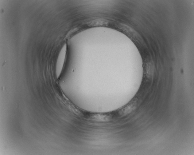 X0000075840326200610151551