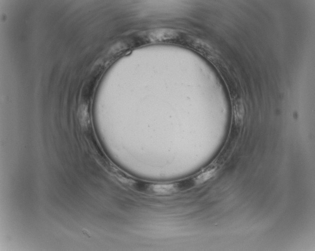 X0000075840327200610151551