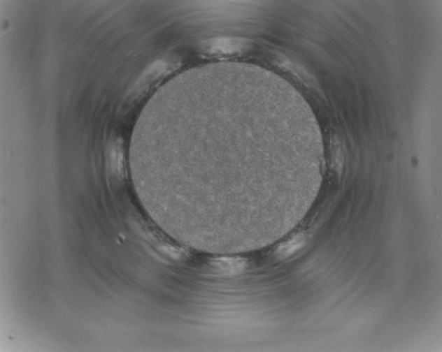 X0000075840328200610151551