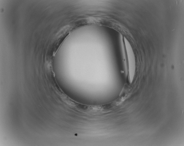 X0000075840329200610151551