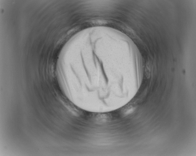 X0000075840330200610151551