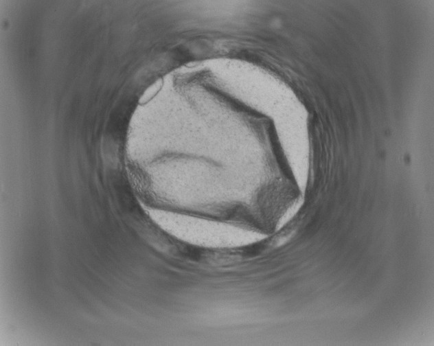 X0000075840331200610151551