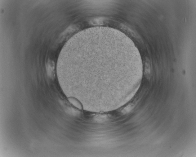 X0000075840332200610151551