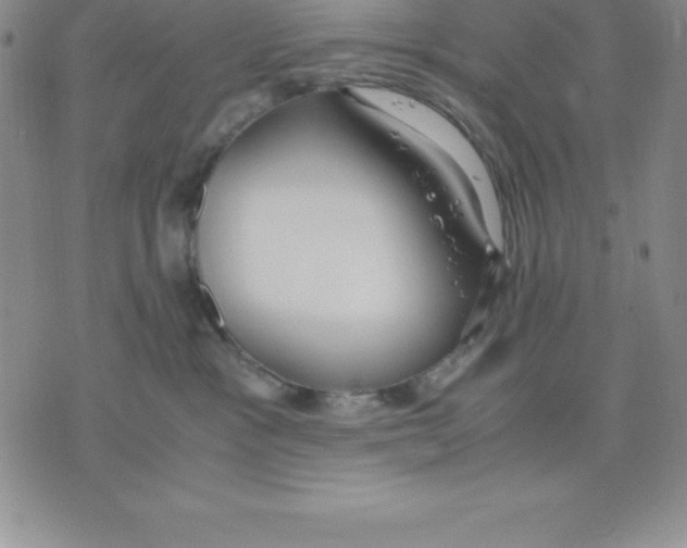 X0000075840333200610151551