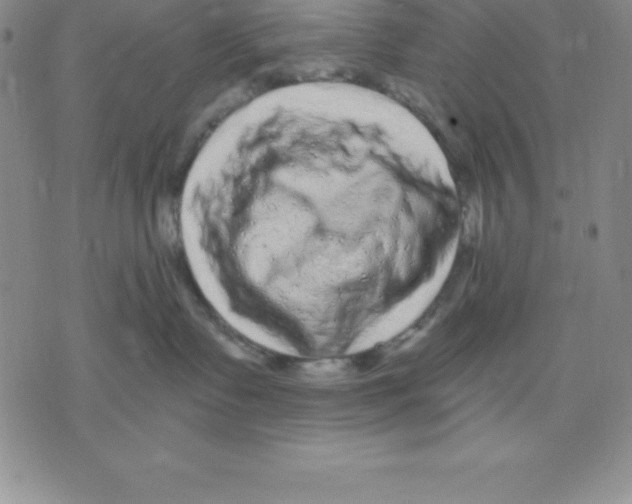 X0000075840335200610151551