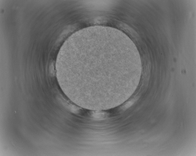 X0000075840336200610151551