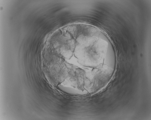 X0000075840337200610151550