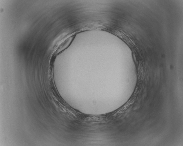 X0000075840338200610151550