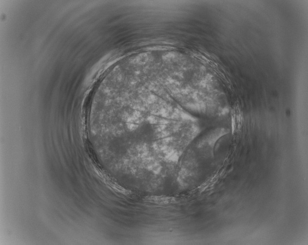 X0000075840339200610151550