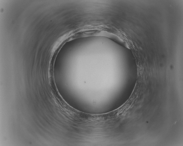 X0000075840340200610151550