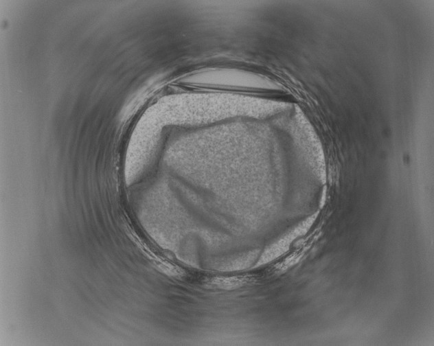 X0000075840341200610151550