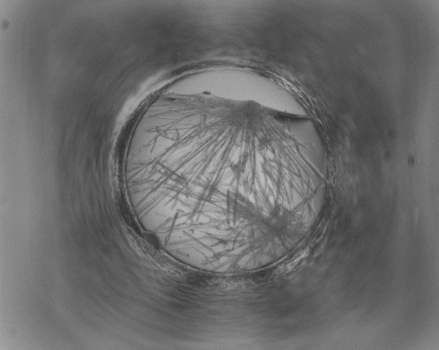 X0000075840343200610151550