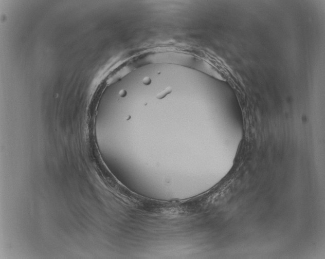 X0000075840344200610151550