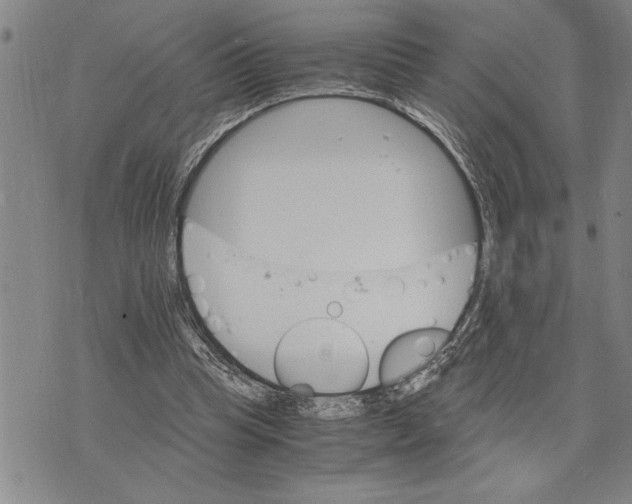 X0000075840345200610151550