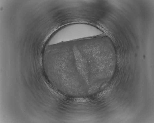 X0000075840347200610151550