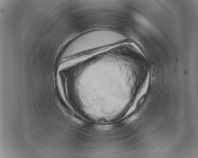 X0000075840349200610151550