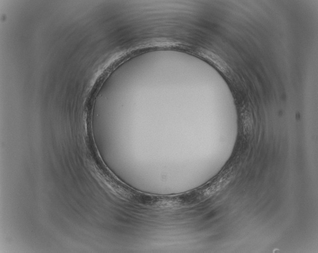 X0000075840350200610151550